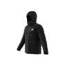 Men Bsc 3-Stripes Hooded Insulated Jacket, Black, A701_ONE, thumbnail image number 17
