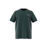 adidas - Trefoil Series Style T-Shirt mineral green Male Adult