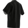 Mens Adicolor Contempo T-Shirt, Black, A701_ONE, thumbnail image number 14