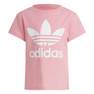Unisex Kids Adicolor Trefoil T-Shirt, Pink, A701_ONE, thumbnail image number 3