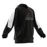 adidas - Men Future Icons Embroidered Badge Of Sport Sweatshirt, Black
