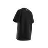 adidas - adidas Rekive Speed Trefoil Graphic T-Shirt black Male Adult