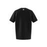 adidas - adidas Rekive Speed Trefoil Graphic T-Shirt black Male Adult