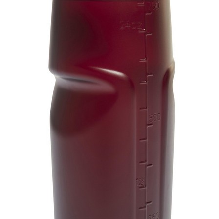 Unisex Trail Water Bottle 750 Ml, Maroon, A701_ONE, large image number 2