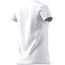 adidas -  Kids Boys Essentials T-Shirt White
