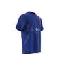Men Adicolor Seasonal Archive T-Shirt, Blue, A701_ONE, thumbnail image number 6