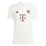 Men Fc Bayern 23/24 Third Jersey, White, A701_ONE, thumbnail image number 1