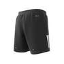 Men Own The Run Heather Shorts, Grey, A701_ONE, thumbnail image number 14