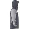 Men Tiro 23 Competition All-Weather Jacket, Grey, A701_ONE, thumbnail image number 14