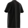 Men Sportswear Mystic Fill T-Shirt, Black, A701_ONE, thumbnail image number 8