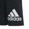 Unisex Kids Essentials Big Logo Cotton Shorts, Black, A701_ONE, thumbnail image number 7