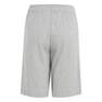 Unisex Kids Essentials Big Logo Cotton Shorts, Grey, A701_ONE, thumbnail image number 3