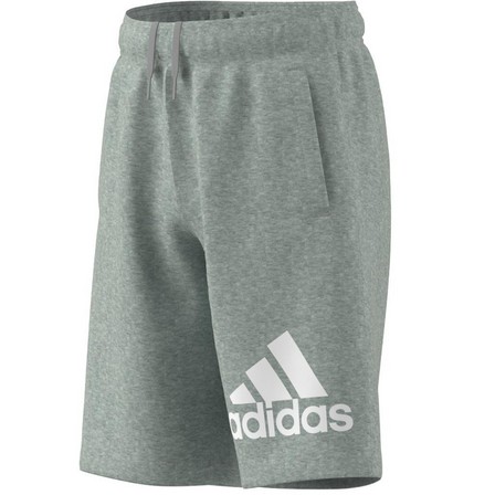 Unisex Kids Essentials Big Logo Cotton Shorts, Grey, A701_ONE, large image number 7