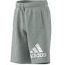 Unisex Kids Essentials Big Logo Cotton Shorts, Grey, A701_ONE, thumbnail image number 7
