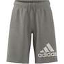 Unisex Kids Essentials Big Logo Cotton Shorts, Grey, A701_ONE, thumbnail image number 9