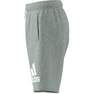Unisex Kids Essentials Big Logo Cotton Shorts, Grey, A701_ONE, thumbnail image number 12