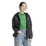 Women Essentials Light Down Hooded Jacket, Black, A701_ONE, thumbnail image number 13