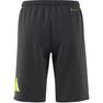 Kids Unisex Train Essentials Aeroready Shorts, Black, A701_ONE, thumbnail image number 9