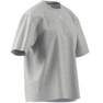 Women Adicolor Essentials T-Shirt, Grey, A701_ONE, thumbnail image number 12