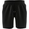 Men Premium Essentials Shorts, Black, A701_ONE, thumbnail image number 13