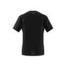 Men Hiit Graphic Slogan Training T-Shirt, Black, A701_ONE, thumbnail image number 14