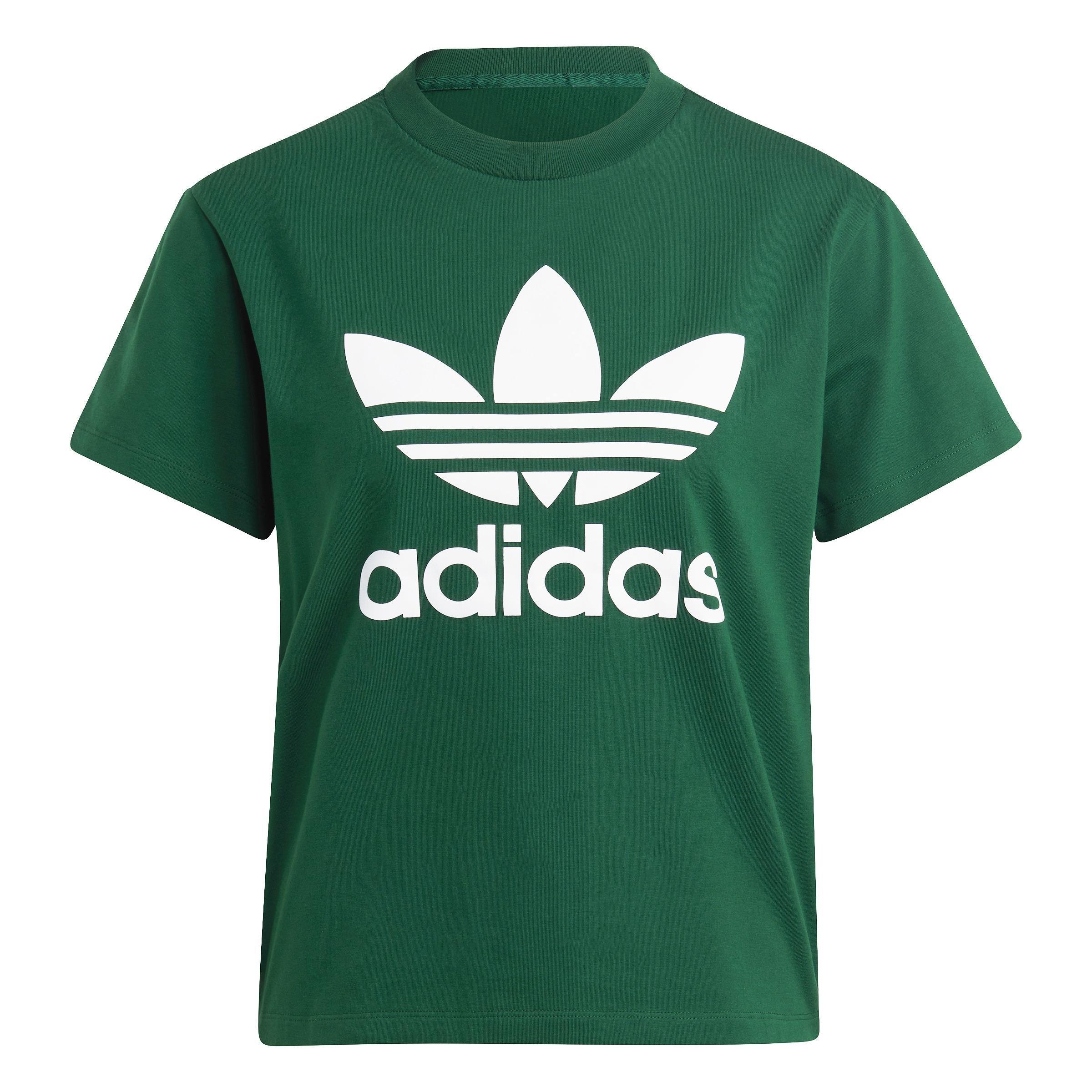 Women Adicolor Classics Trefoil T-Shirt, Green, A701_ONE, large image number 0