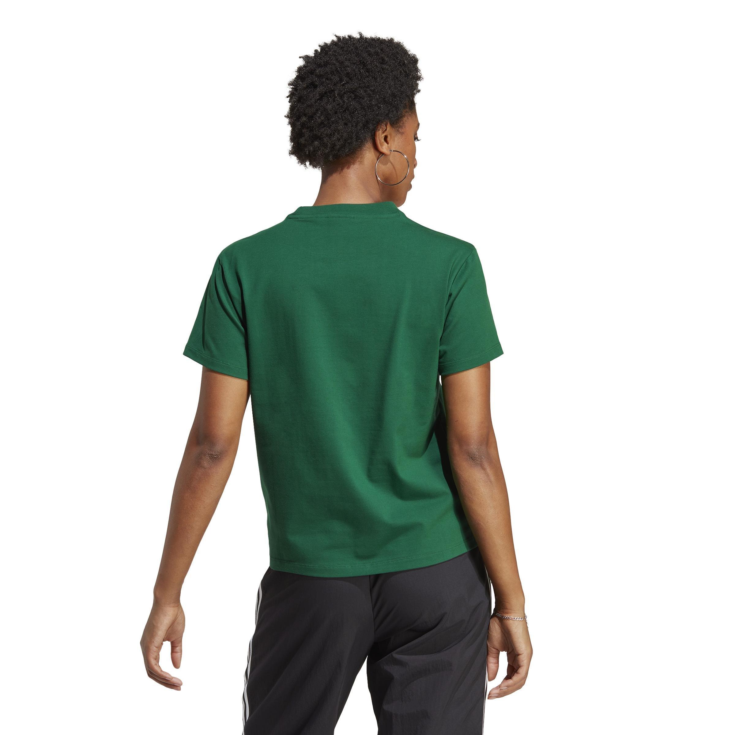 Women Adicolor Classics Trefoil T-Shirt, Green, A701_ONE, large image number 3