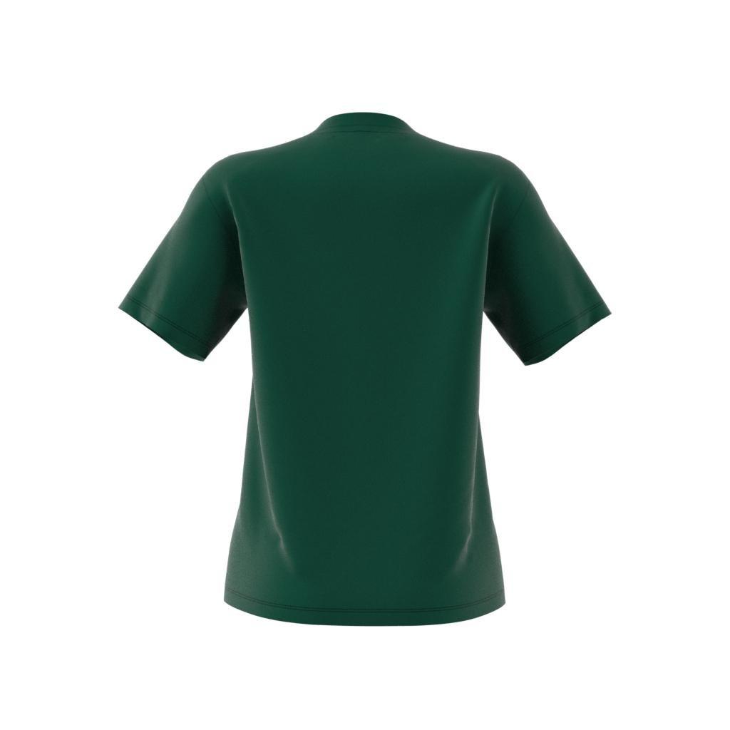 Women Adicolor Classics Trefoil T-Shirt, Green, A701_ONE, large image number 9