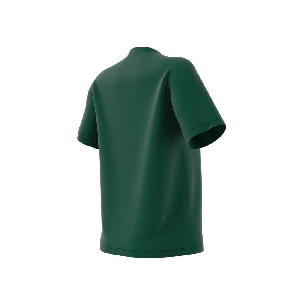Women Adicolor Classics Trefoil T-Shirt, Green, A701_ONE, large image number 11