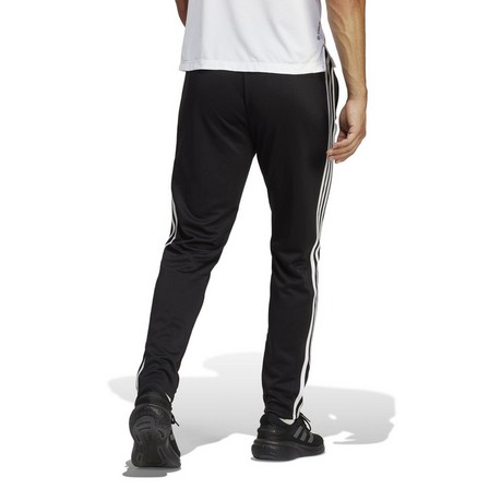 Train Essentials 3-Stripes Training Joggers black Male Adult, A701_ONE, large image number 4