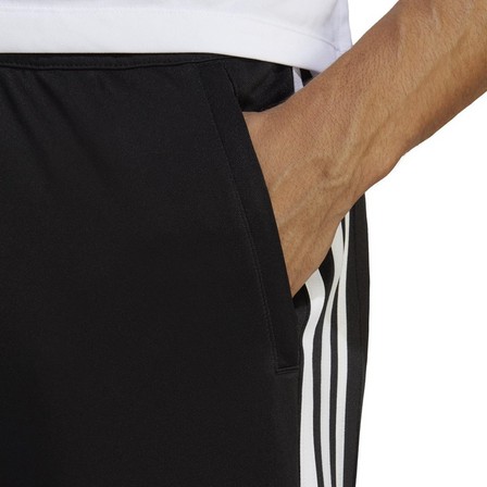 Train Essentials 3-Stripes Training Joggers black Male Adult, A701_ONE, large image number 5
