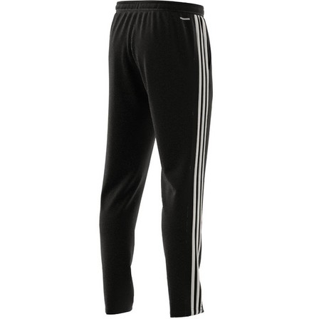 Train Essentials 3-Stripes Training Joggers black Male Adult, A701_ONE, large image number 10