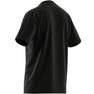 Men Train Essentials Seasonal Logo Training T-Shirt, Black, A701_ONE, thumbnail image number 16