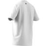 Men Lil Stripe Basketball Graphic T-Shirt, White, A701_ONE, thumbnail image number 10