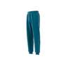 Men Adidas Adventure Joggers Active, Blue, A701_ONE, thumbnail image number 12