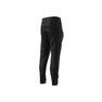 City Escape Tracksuit Bottoms black Male Adult, A701_ONE, thumbnail image number 12