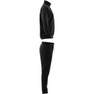 Men Linear Logo Tricot Tracksuit, Black, A701_ONE, thumbnail image number 9