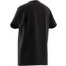 Unisex Kids Essentials Big Logo Cotton T-Shirt, Black, A701_ONE, thumbnail image number 13