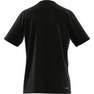 Men Train Essentials Comfort Training T-Shirt, Black, A701_ONE, thumbnail image number 13