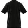 Train Essentials Training T-Shirt black Male Adult, A701_ONE, thumbnail image number 8