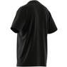 Train Essentials Training T-Shirt black Male Adult, A701_ONE, thumbnail image number 14