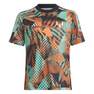 Kids Unisex Messi Graphic Training Jersey, Multicolour, A701_ONE, thumbnail image number 12