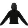 Women French Terry Crop Hoodie, Black, A701_ONE, thumbnail image number 11