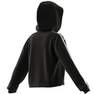 Women French Terry Crop Hoodie, Black, A701_ONE, thumbnail image number 14