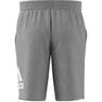 Men Essentials Big Logo French Terry Shorts, Grey, A701_ONE, thumbnail image number 14
