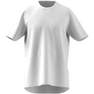 Men All Szn T-Shirt, White, A701_ONE, thumbnail image number 6