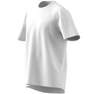 Men All Szn T-Shirt, White, A701_ONE, thumbnail image number 14