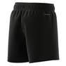 Kids Unisex Essentials Small Logo Chelsea Shorts, Black, A701_ONE, thumbnail image number 10