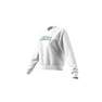 Women College Graphic Sweatshirt, Grey, A701_ONE, thumbnail image number 14