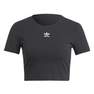 Women Essentials Rib T-Shirt, Black, A701_ONE, thumbnail image number 1